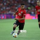 그린우드 이미지