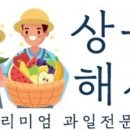클로리스플라워 이미지