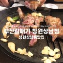 상남01 | 창원 상남 맛집 추천 : 부산 갈매기 창원상남점 후기