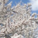 대덕프라자안쪽 이미지