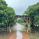 완도수목원 이미지