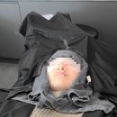 봉담우리애 동물병원 | 봉담2지구 미용실 &#39;엔닉&#39; 안마의자 헤어크리닉 후기, 미쳐버린 원장님 샴푸실력...