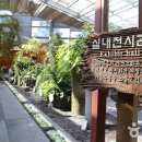방림원 Daum카페
