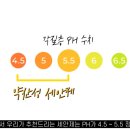 세안의원 네이버블로그