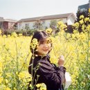 제주에산다면 이미지