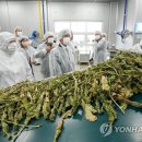 양구농산물가공지원센터(해안점)