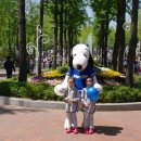 2015년 어린이날 서울 어린이대공원 풍경 이미지