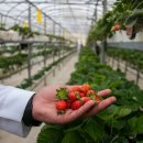 번성농장 이미지