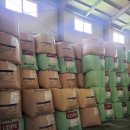 대성소프트 이미지