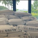 명인족발 - 안산시 단원구 대부중앙로 98 | 명인족발