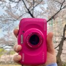 삼성7길 | [종로] 오브옉트 오프라인 매장 방문 후기_빈티지 디카 “니콘 쿨픽스 s33” 구입 및 작례