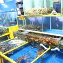 가락시장역6번출입구 이미지