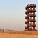 시흥 갯골생태공원 이미지