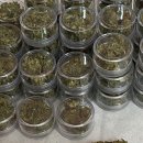 울산해양경찰서 화장실 이미지