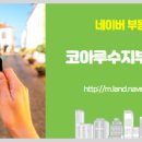 수지21공인중개사사무소 이미지