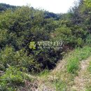 미천면-5 이미지