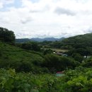 대명산(181m) 봉황산(128m)삼정산(76m)/충남 논산시 부적면,가야곡면 이미지