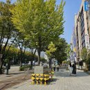 부천세무서 이미지