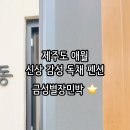 금성민박펜션 이미지