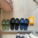 지슬하우스 이미지