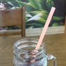 커피꽃향기 이미지