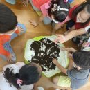 성남초등학교 병설유치원 이미지