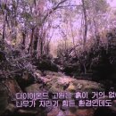 우주-무한궤도 이미지