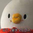 안농 네이버블로그
