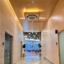 양양중학교 | 양양 솔향기언덕 카페로그 대형북카페 내돈내산 솔직후기