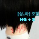 하루헤어살롱 - 서구 | 하루헤어살롱