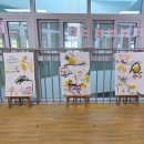 삼영유치원(공립단설) 이미지