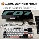 87 | 📦 노브랜드 강남터미널점, 키보드 전문존 Aula F87Pro 독거미 키보드 후기