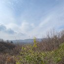 산속목장 이미지