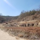 안기천로 이미지