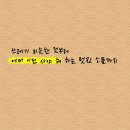 오케이라이프