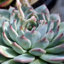 송정하우스 이미지