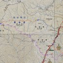 봉화산삼