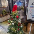 라라코스트 영주역점 이미지