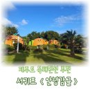 안녕감귤 제주독채펜션 | 제주 감성 한가득, 귀여운 안녕감귤 독채펜션 내돈내산 숙박 후기