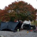 단풍나무펜션민박 이미지