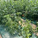 이천농업기술센터 이미지