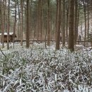 청태산자연휴양림 이미지