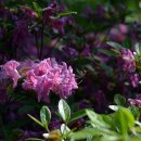 부평공원 이미지