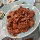 남도여행맛집 강진 가우도 맛집