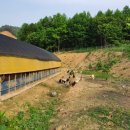 서동골농장 이미지