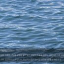 태강세무회계 - 강남구 봉은사로 610 | 태강세무회계