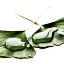 직업상담사 이론 - 2차 직업상담실무 이미지