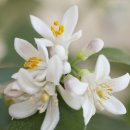 Body Story(바디스토리) | [수집미학] From Still Life 핸드크림 바디워시 사용 후기 | 크리스마스 선물 추천 | 홀리데이 패키징 후기