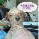 모비트코리아 | #2 여름 오사카 3박 4일 (우메다공중정원, 유니버셜스튜디오)