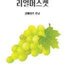 (주)솔트코리아 이미지